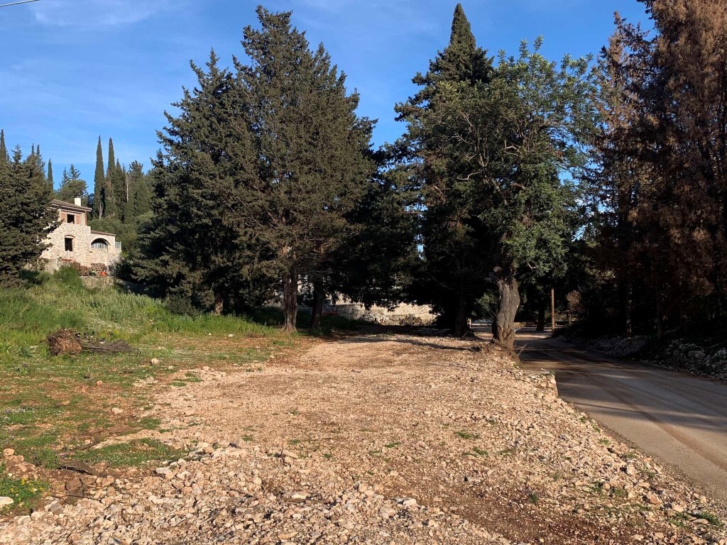 Land in Kefalonia, Kefallinia Prefecture, Greece – 58393