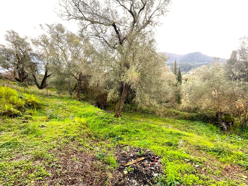 Land in Corfu, Corfu Prefecture, Greece – 58383