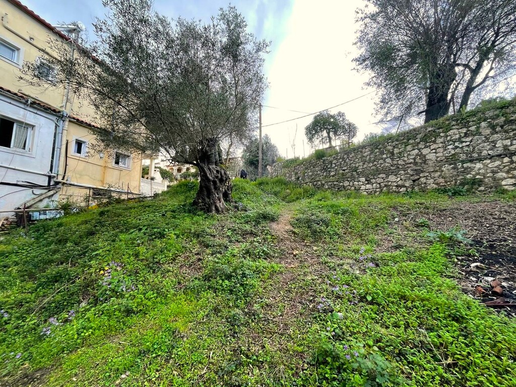 Land in Corfu, Corfu Prefecture, Greece – 58383