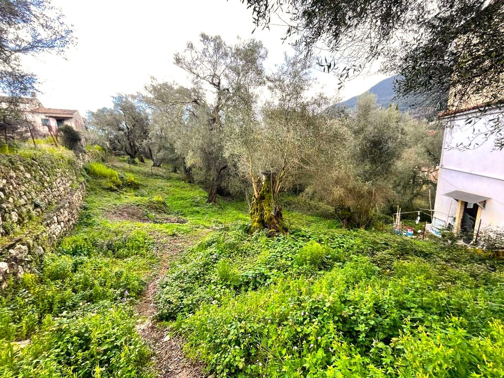 Land in Corfu, Corfu Prefecture, Greece – 58383