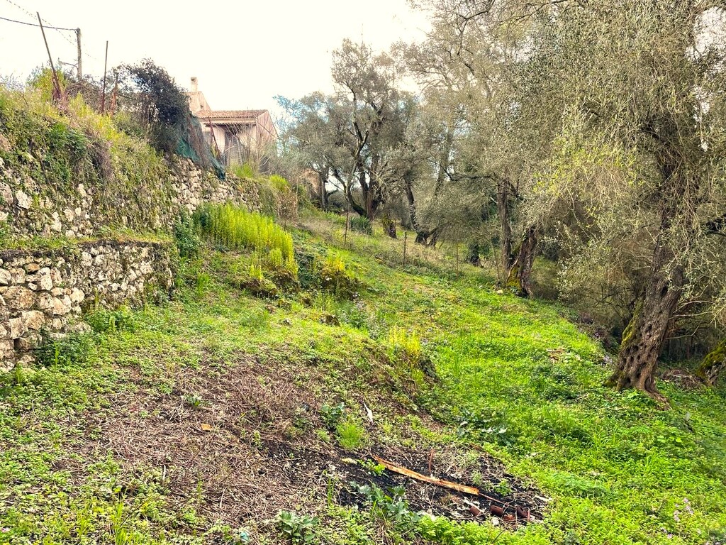 Land in Corfu, Corfu Prefecture, Greece – 58383