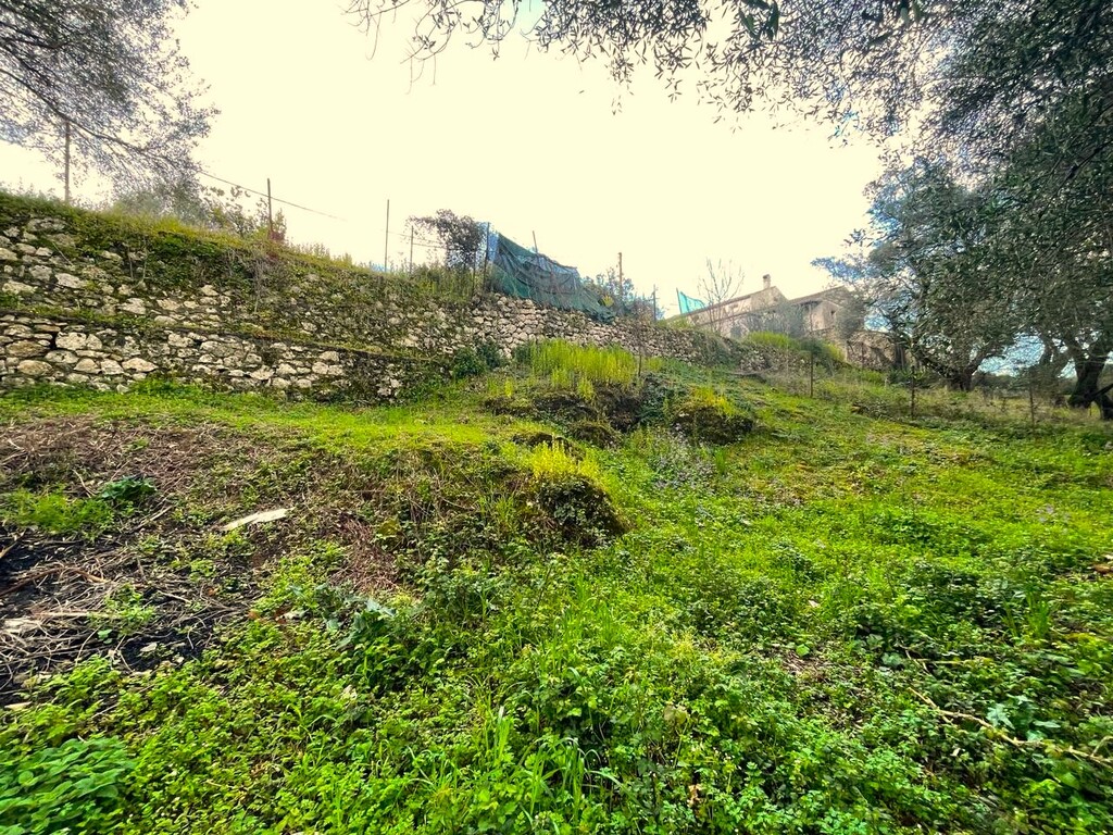 Land in Corfu, Corfu Prefecture, Greece – 58383