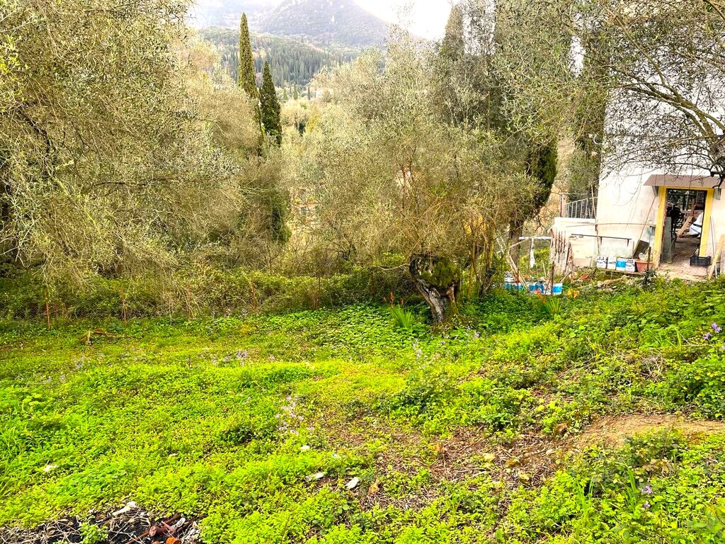 Land in Corfu, Corfu Prefecture, Greece – 58383