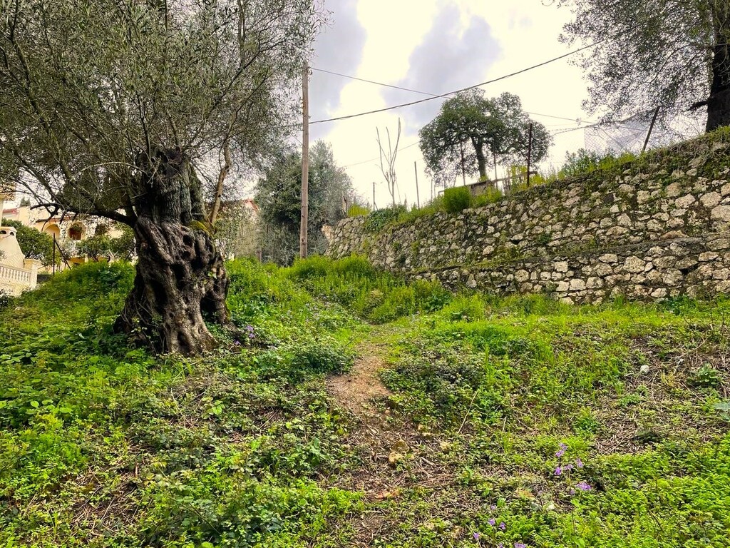 Land in Corfu, Corfu Prefecture, Greece – 58383