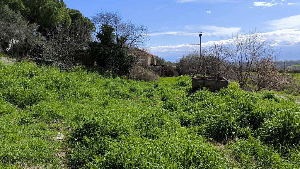 Land in Korinos, Pieria Prefecture, Greece – 58373