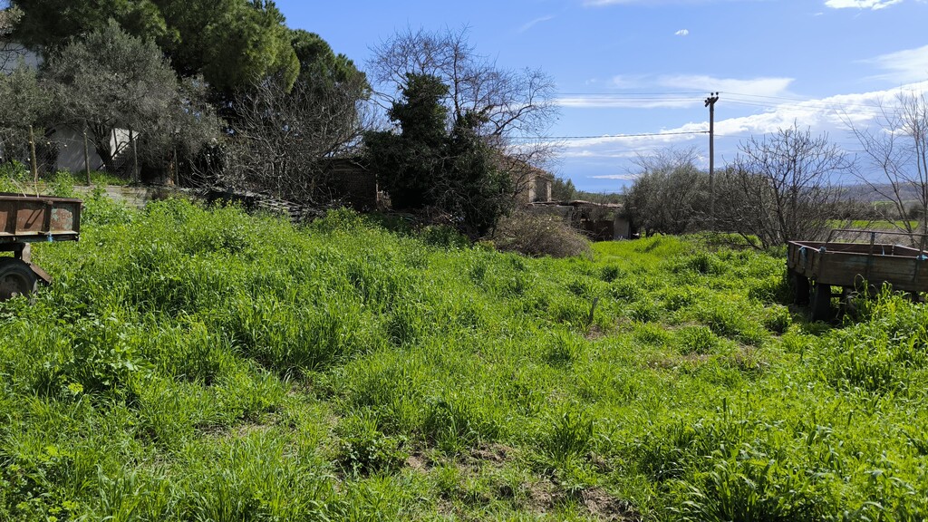 Land in Korinos, Pieria Prefecture, Greece – 58373