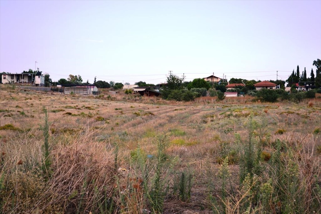 Land in Kassandra, Chalkidiki, Greece – 58304