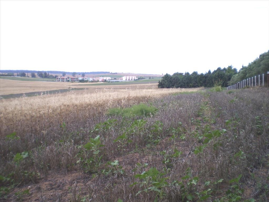 Land in Kassandra, Chalkidiki, Greece – 58301
