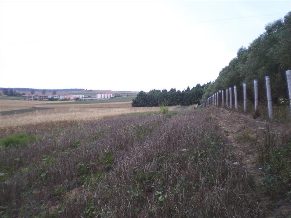 Land in Kassandra, Chalkidiki, Greece – 58301