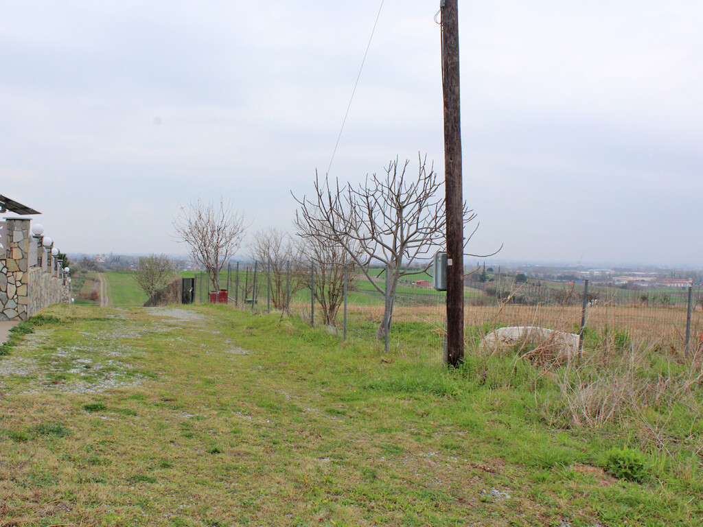 Land in Katerini, Pieria Prefecture, Greece – 58242