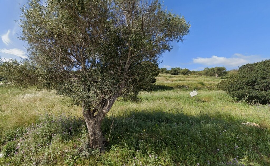 Land in Elatio, Zante, Greece – 58205