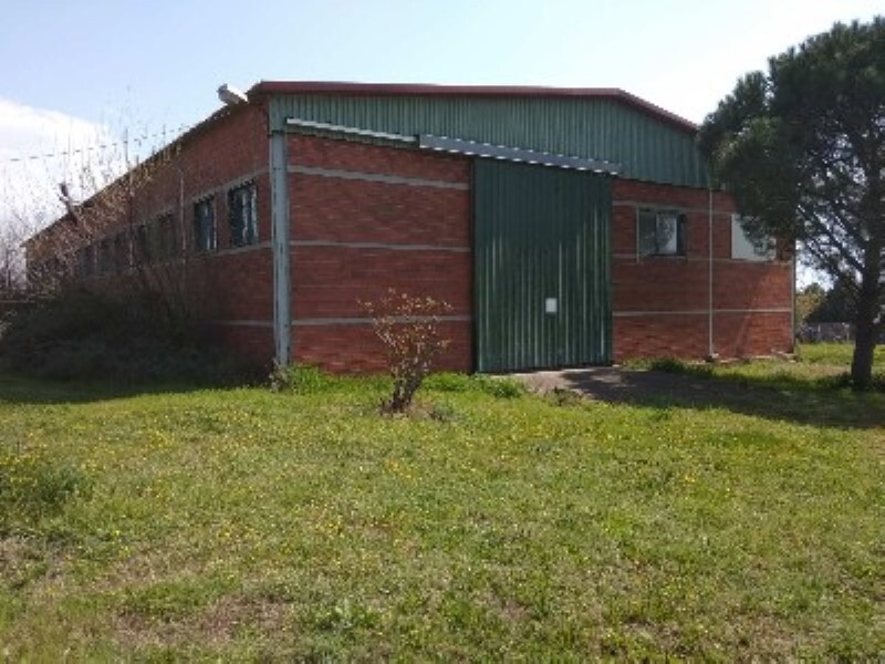 Commercial property in Oreokastro, Thessaloniki – Suburbs, Greece – 58186