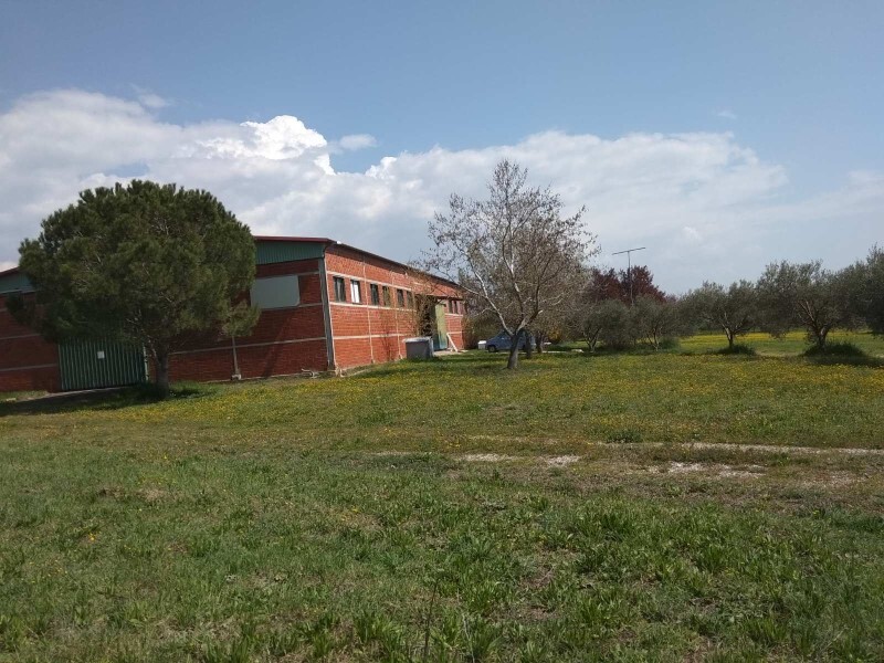 Commercial property in Oreokastro, Thessaloniki – Suburbs, Greece – 58186