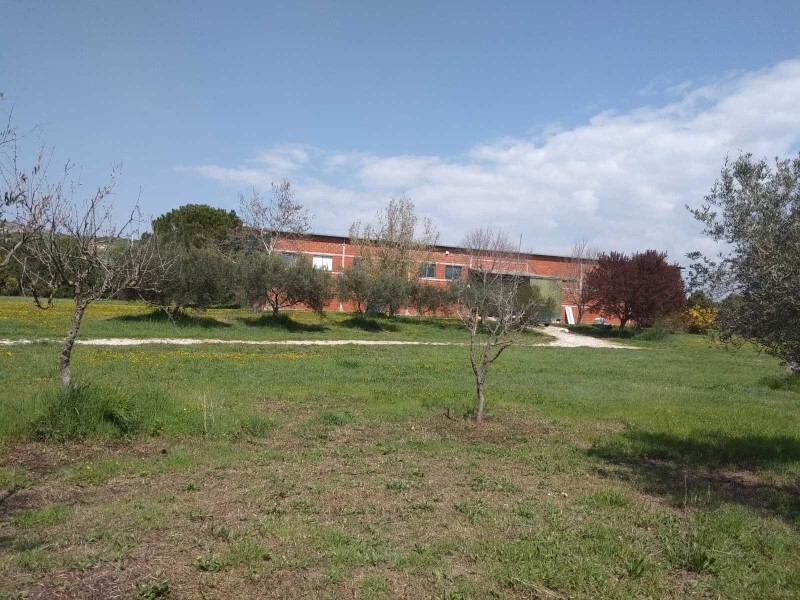 Commercial property in Oreokastro, Thessaloniki – Suburbs, Greece – 58186
