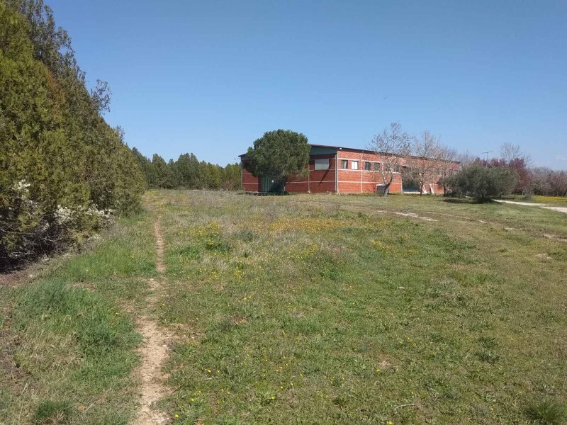 Commercial property in Oreokastro, Thessaloniki – Suburbs, Greece – 58186