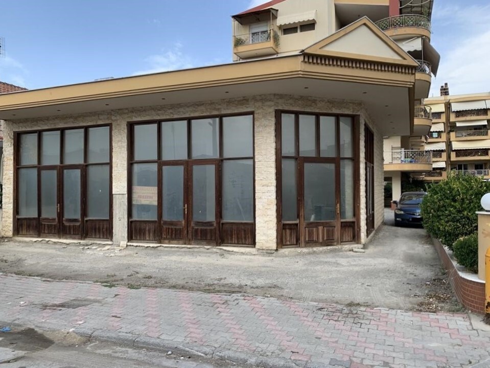 Commercial property in Alexandreia, Imathia, Greece – 58171