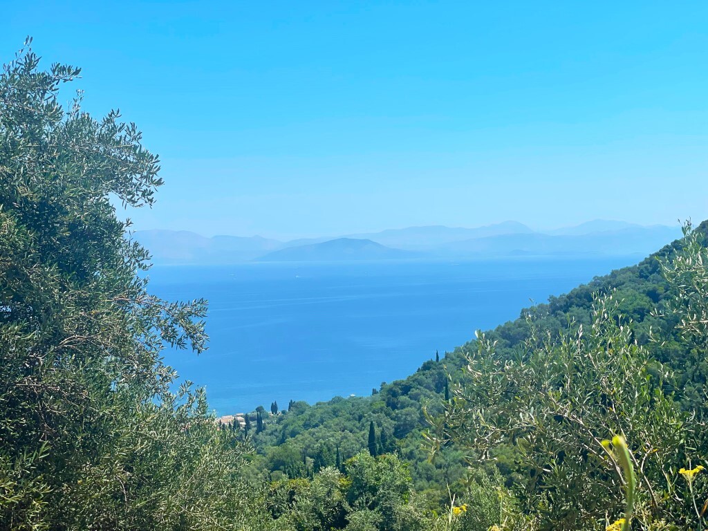 Land in Corfu, Corfu Prefecture, Greece – 58138
