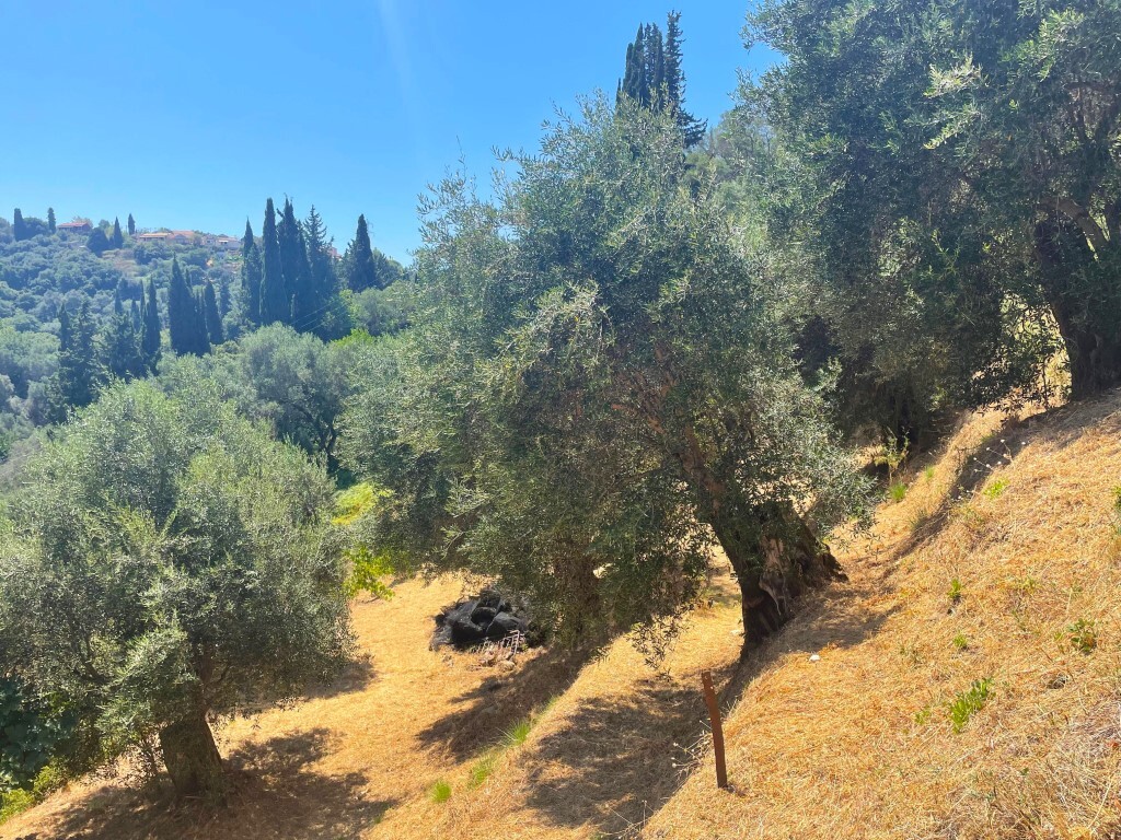 Land in Corfu, Corfu Prefecture, Greece – 58138