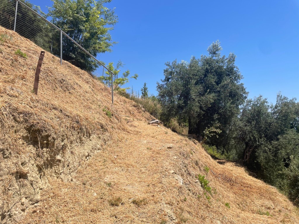 Land in Corfu, Corfu Prefecture, Greece – 58138