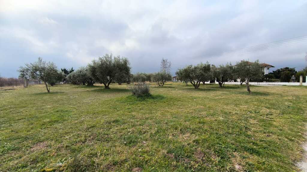 Land in Easts Olimpos, Pieria Prefecture, Greece – 58107