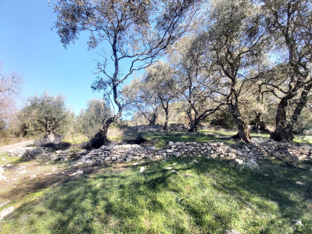 Land in Corfu, Corfu Prefecture, Greece – 58099