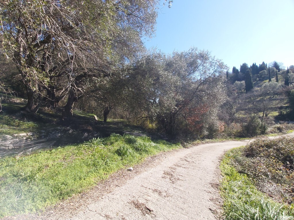 Land in Corfu, Corfu Prefecture, Greece – 58099