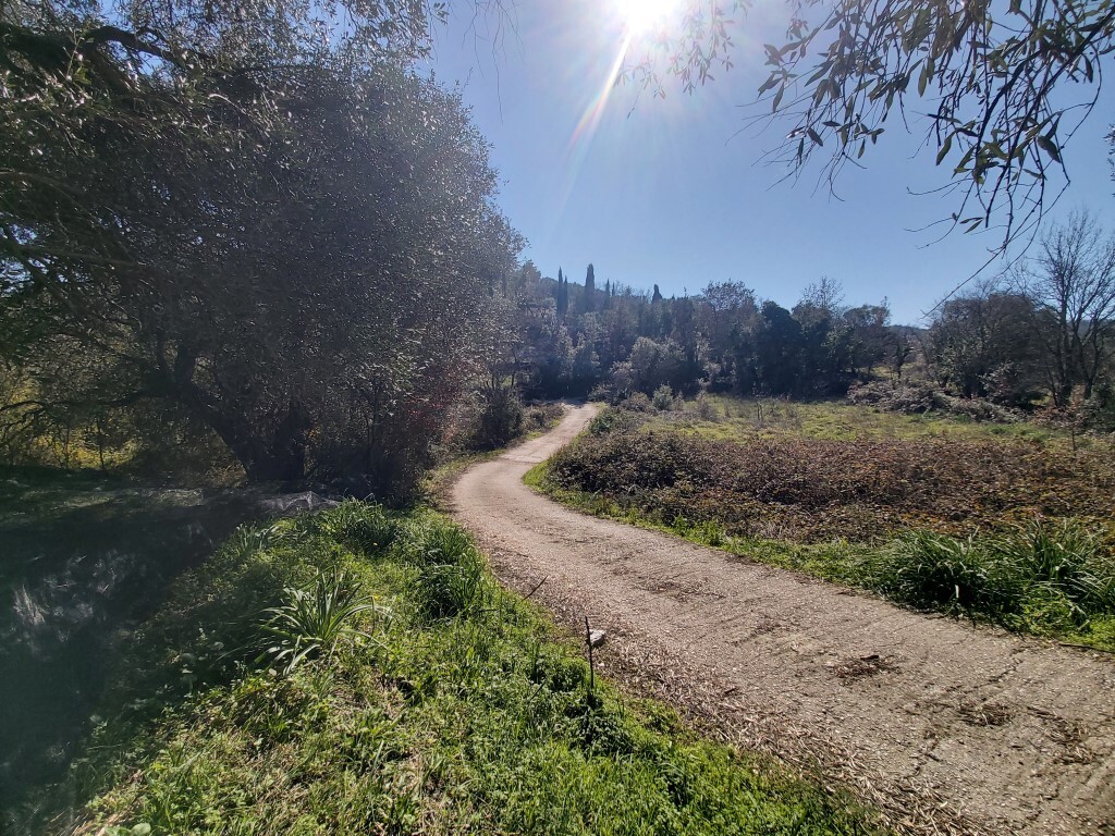 Land in Corfu, Corfu Prefecture, Greece – 58099