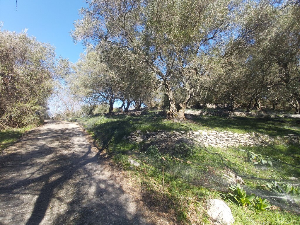 Land in Corfu, Corfu Prefecture, Greece – 58099