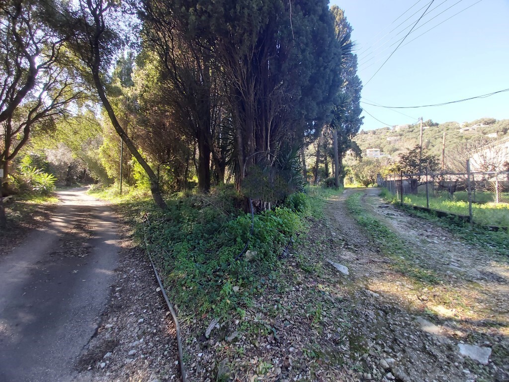 Land in Corfu, Corfu Prefecture, Greece – 58095