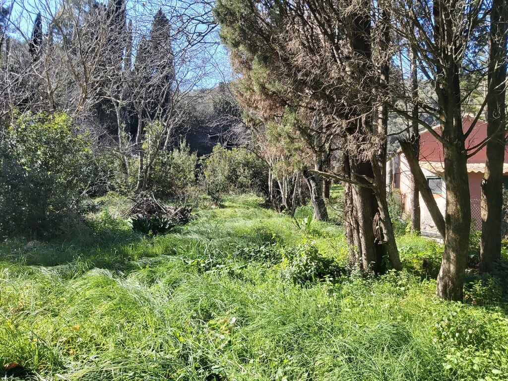 Land in Corfu, Corfu Prefecture, Greece – 58095