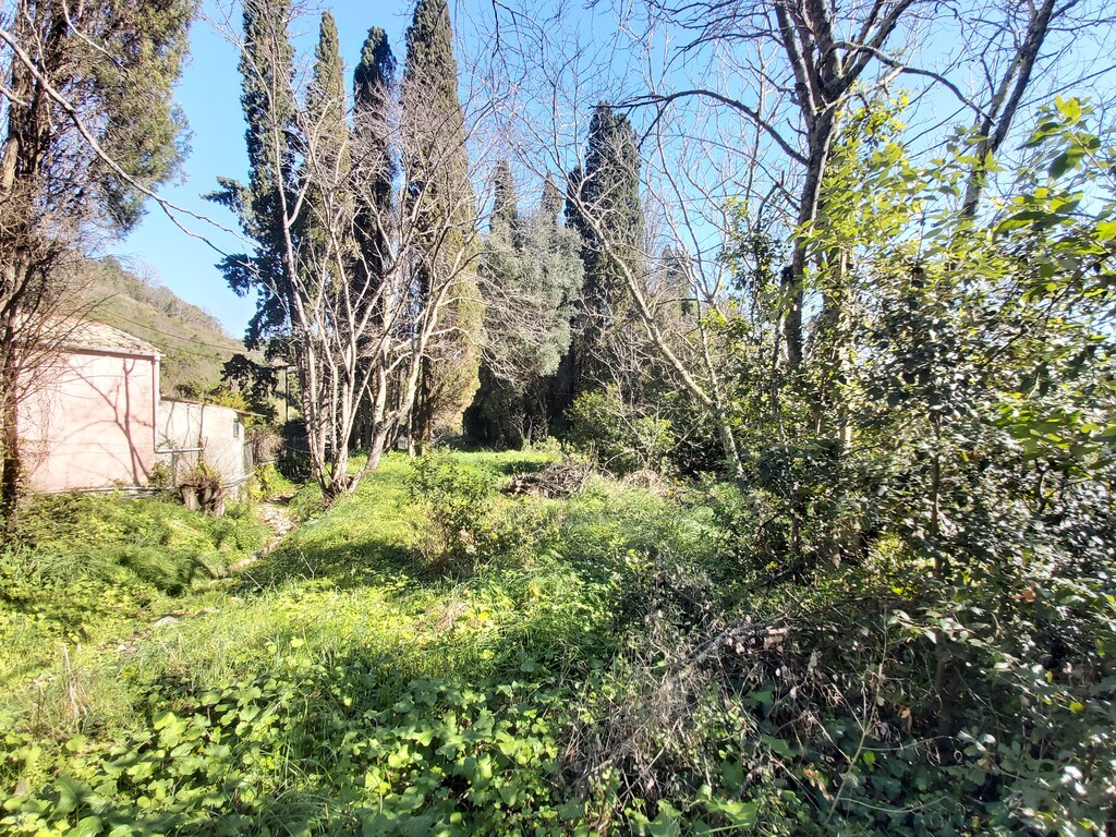Land in Corfu, Corfu Prefecture, Greece – 58095