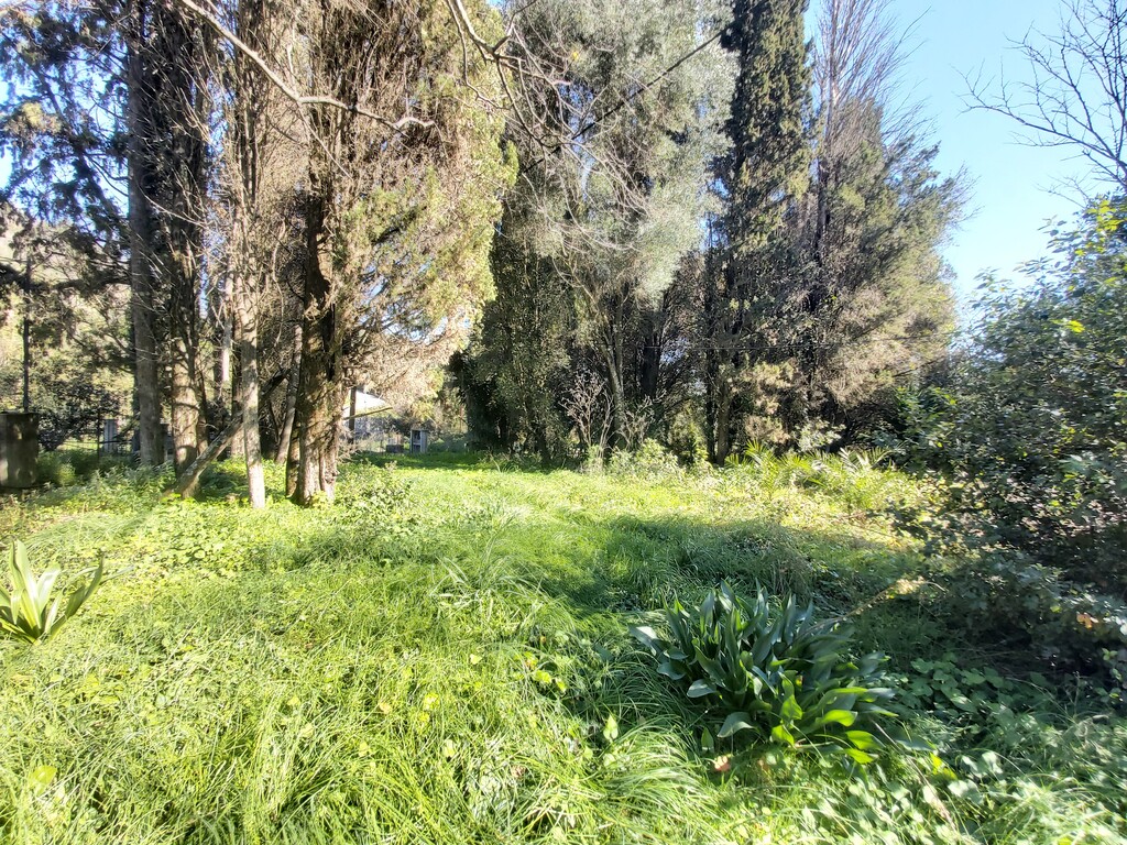 Land in Corfu, Corfu Prefecture, Greece – 58095