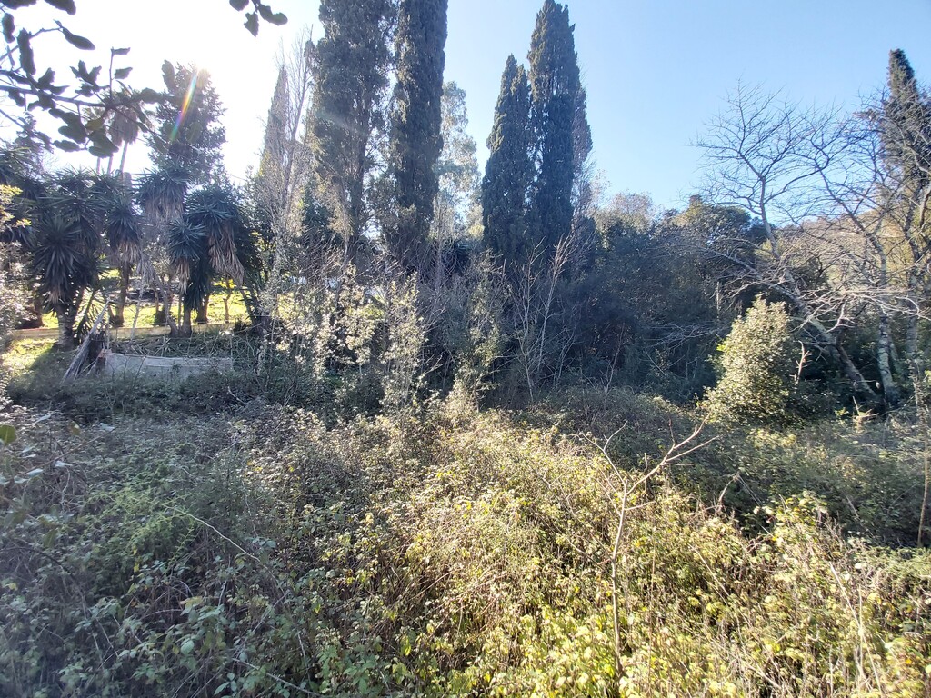 Land in Corfu, Corfu Prefecture, Greece – 58095