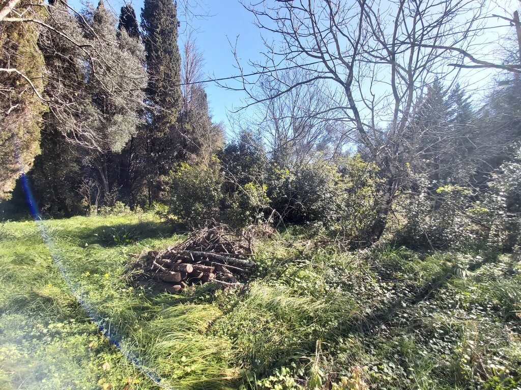 Land in Corfu, Corfu Prefecture, Greece – 58095