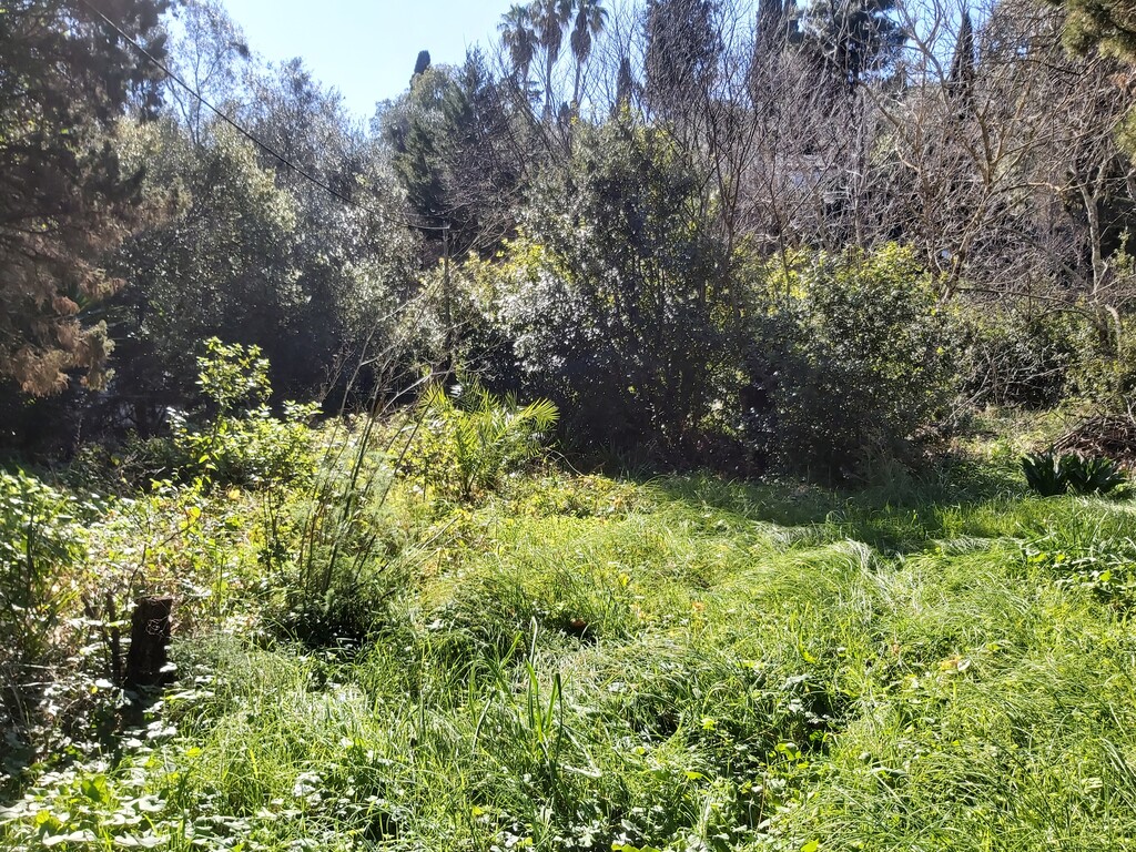 Land in Corfu, Corfu Prefecture, Greece – 58095