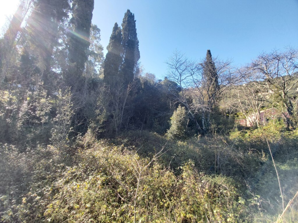 Land in Corfu, Corfu Prefecture, Greece – 58095