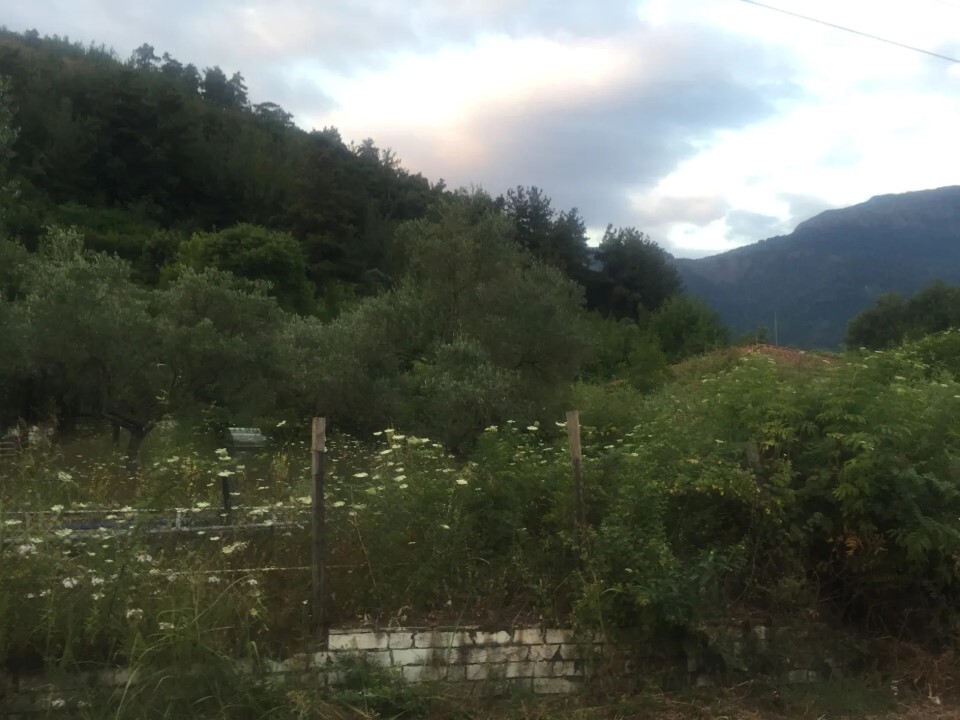 Land in Thasos, Kavala Prefecture, Greece – 58079