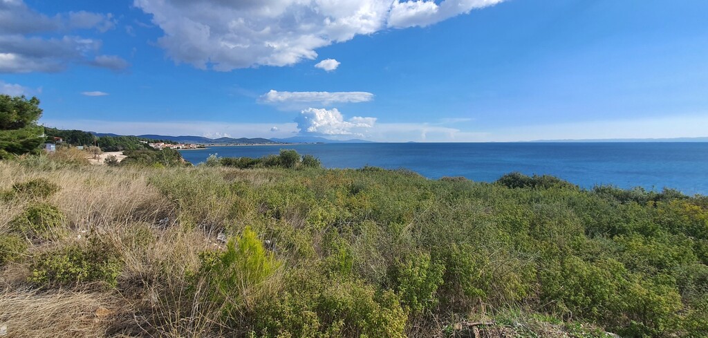 Land in Poligiros, Chalkidiki, Greece – 58035