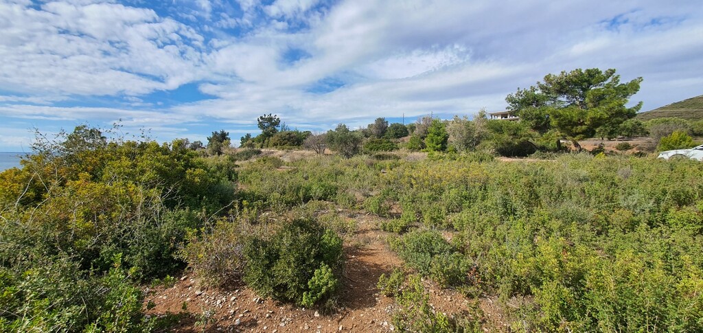 Land in Poligiros, Chalkidiki, Greece – 58035