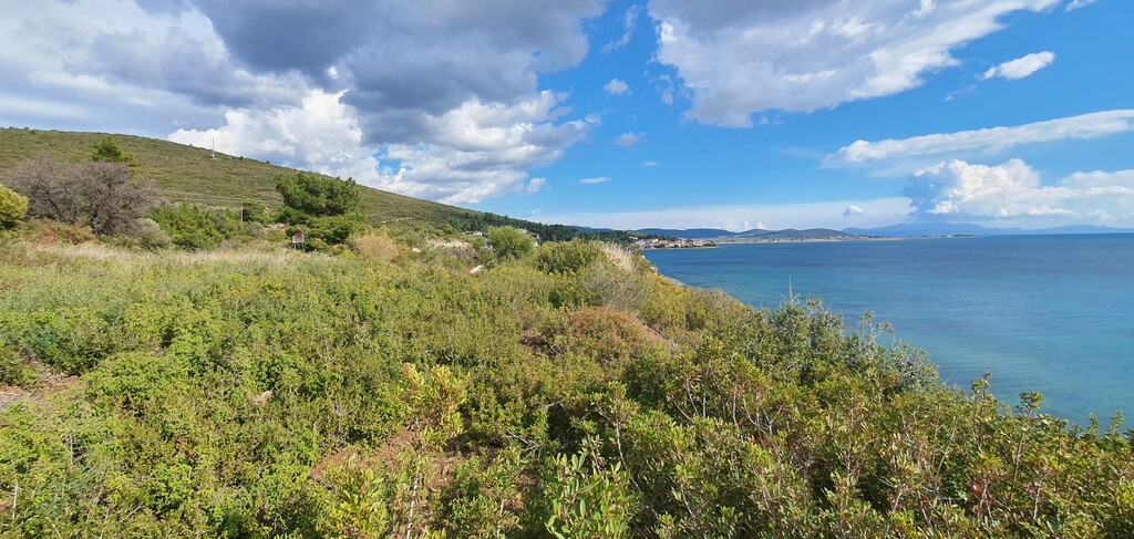 Land in Poligiros, Chalkidiki, Greece – 58035