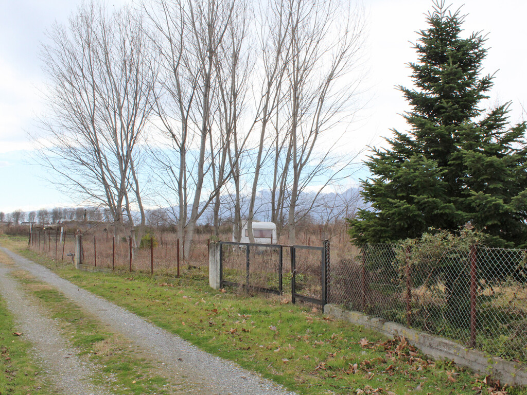Land in Katerini, Pieria Prefecture, Greece – 58016