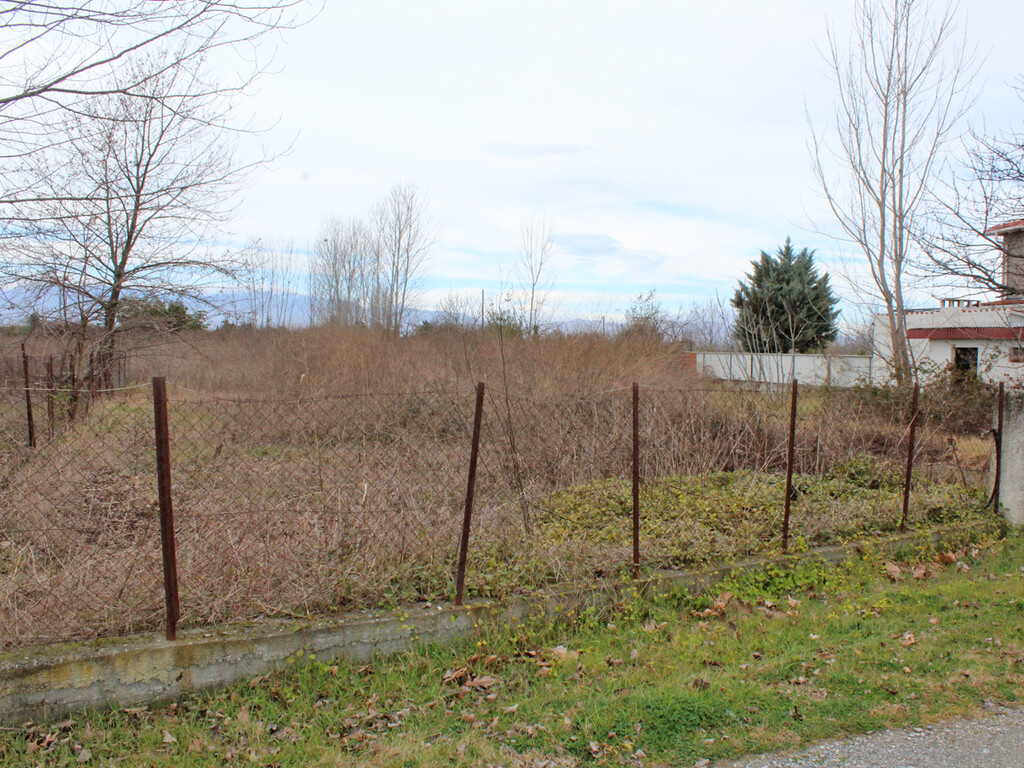 Land in Katerini, Pieria Prefecture, Greece – 58016