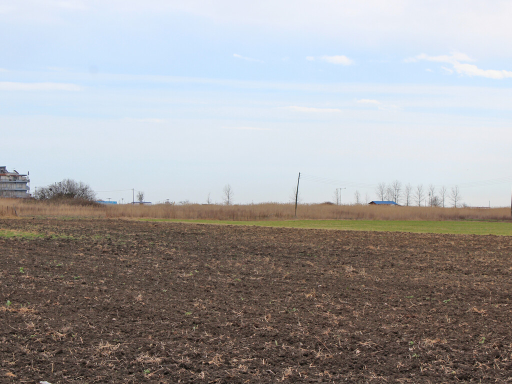 Land in Katerini, Pieria Prefecture, Greece – 58016