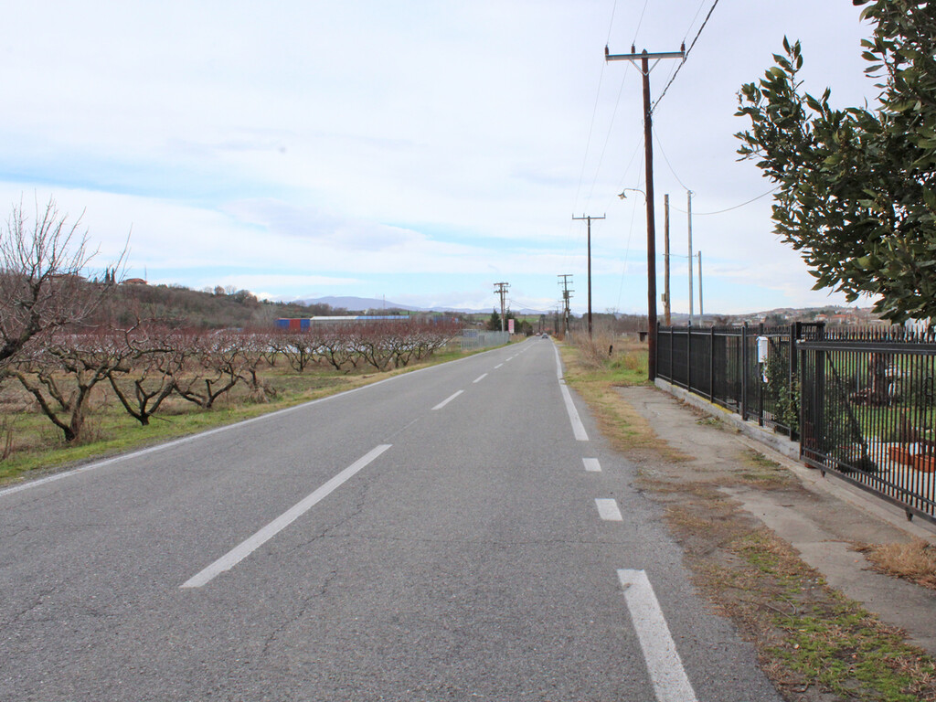 Land in Katerini, Pieria Prefecture, Greece – 58015