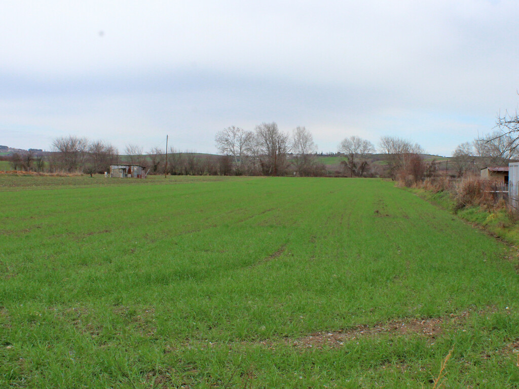 Land in Katerini, Pieria Prefecture, Greece – 58015