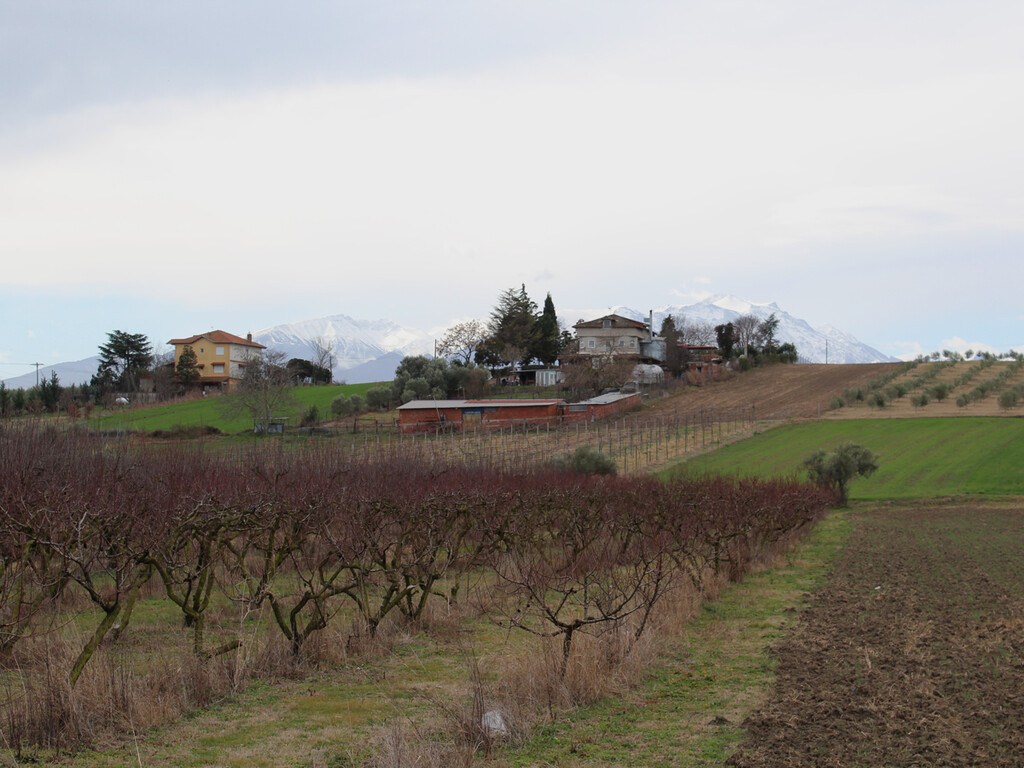Land in Katerini, Pieria Prefecture, Greece – 58015