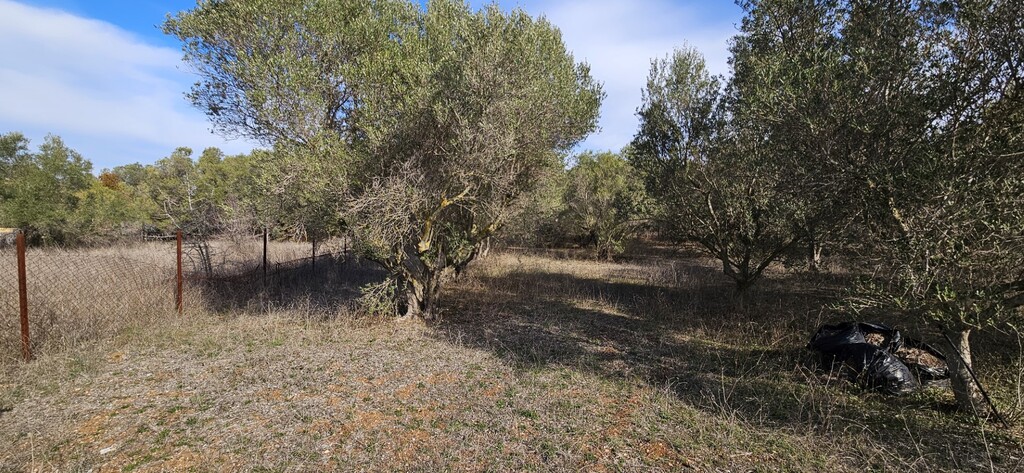 Land in Kassandra, Chalkidiki, Greece – 57995