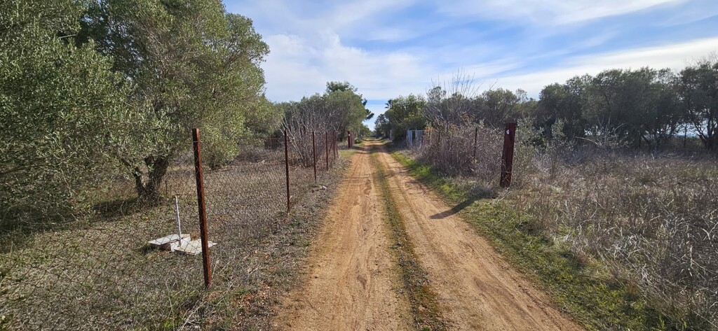 Land in Kassandra, Chalkidiki, Greece – 57995