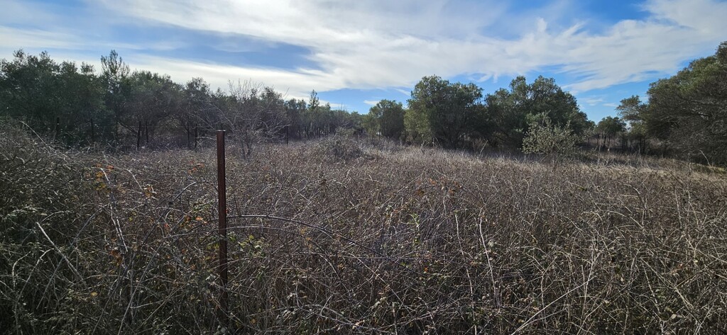 Land in Kassandra, Chalkidiki, Greece – 57994