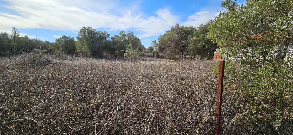 Land in Kassandra, Chalkidiki, Greece – 57994